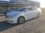 2011 Hyundai Sonata Se იყიდება Earlington-ში, KY - Hail