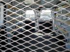 2021 Ford Transit T-250 for Sale in Las Vegas, NV - Front End
