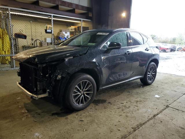 LEXUS NX 350 2023