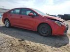 2020 Toyota Corolla Le for Sale in Mercedes, TX - Front End