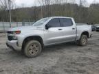 2021 Chevrolet Silverado K1500 Trail Boss Custom zu verkaufen in Hurricane, WV - Water/Flood