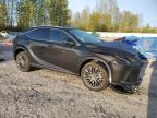 2024 Lexus Rx 350 Base for Sale in Arlington, WA - Front End