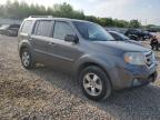 2010 Honda Pilot Exl იყიდება Memphis-ში, TN - Side