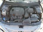 2012 Hyundai Sonata Gls იყიდება Jacksonville-ში, FL - Rear End