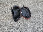2024 Harley-Davidson Fxlrst  for Sale in Walton, KY - All Over