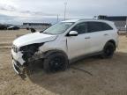 2019 KIA SORENTO L à vendre chez Copart AB - EDMONTON