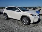 2017 Lexus Nx 200T Base იყიდება Arcadia-ში, FL - Water/Flood