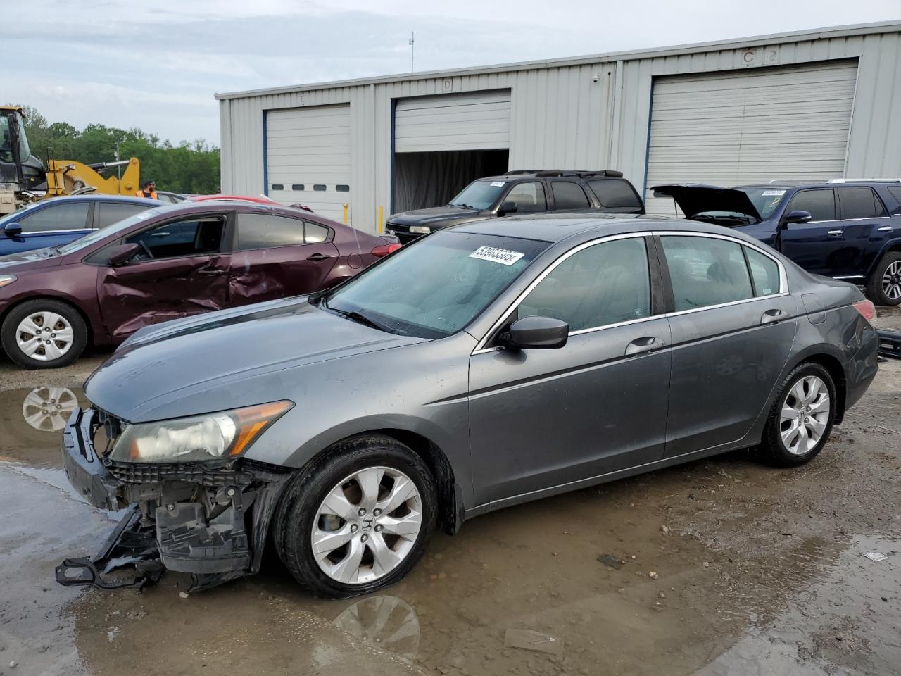 2008 Honda Accord Exl იყიდება Montgomery-ში, AL - Front End