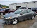 2008 Honda Accord Exl იყიდება Montgomery-ში, AL - Front End