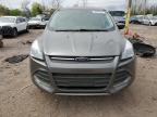 2014 Ford Escape Se de vânzare în Chalfont, PA - Minor Dent/Scratches
