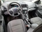 2013 Ford Escape Se for Sale in Windsor, NJ - Rear End