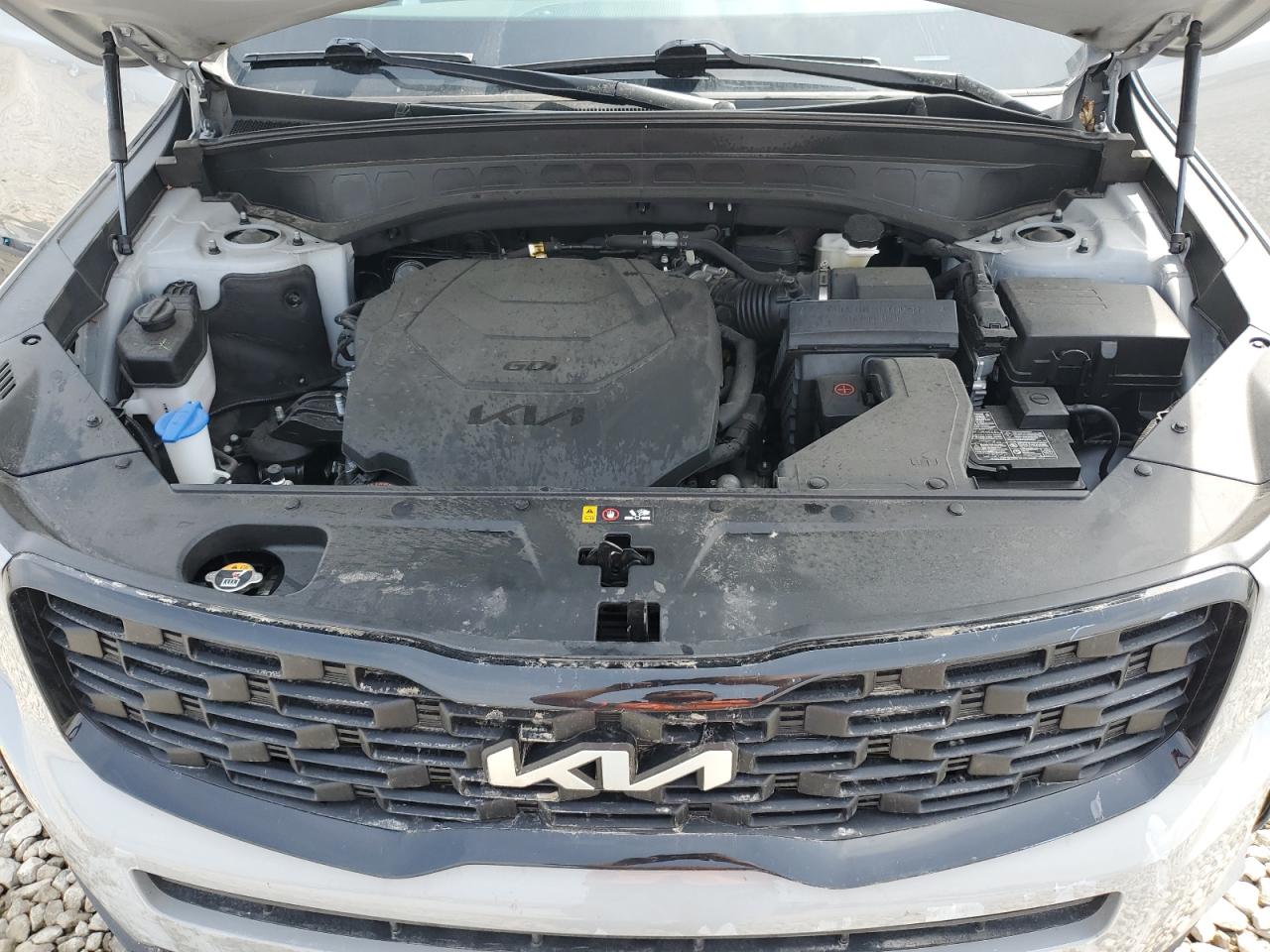 2022 Kia Telluride Ex VIN: 5XYP3DHC2NG215649 Lot: 54092455