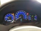 2009 Toyota Sienna Xle for Sale in Ham Lake, MN - Rear End
