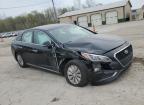 2016 Hyundai Sonata Hybrid იყიდება Pekin-ში, IL - All Over