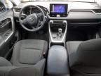 2023 TOYOTA RAV4 LE for sale at Copart ON - LONDON