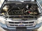 2010 Ford Escape Xlt for Sale in Blaine, MN - Minor Dent/Scratches