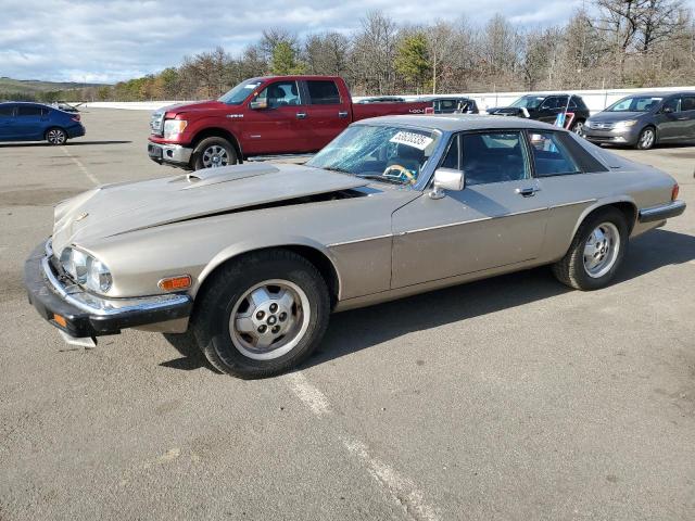 1984 Jaguar Xjs 
