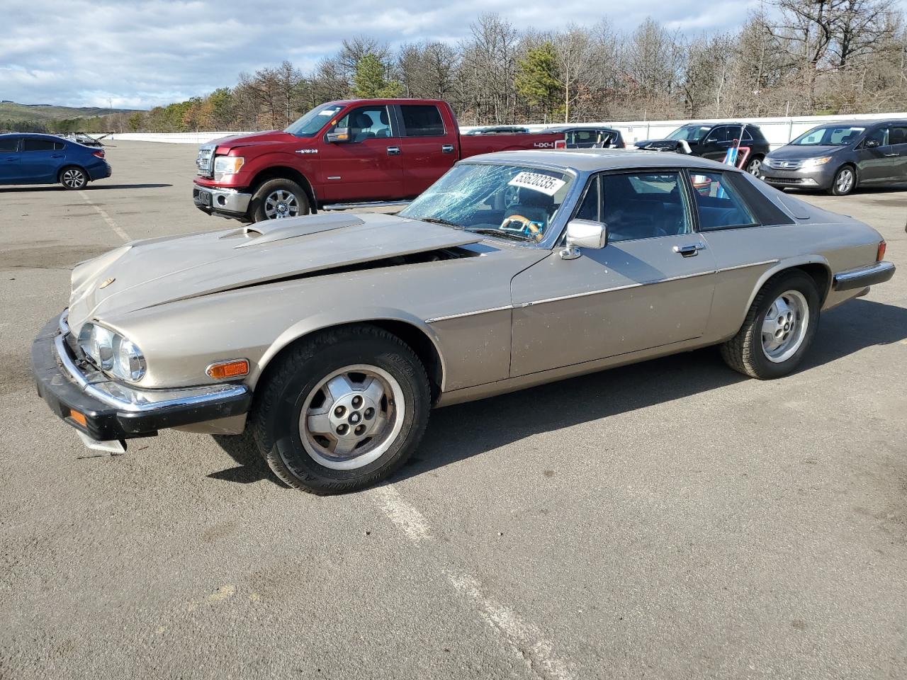 1984 Jaguar Xjs for Sale in Brookhaven, NY - Front End
