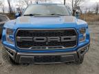 2020 Ford F150 Raptor na sprzedaż w Marlboro, NY - Side