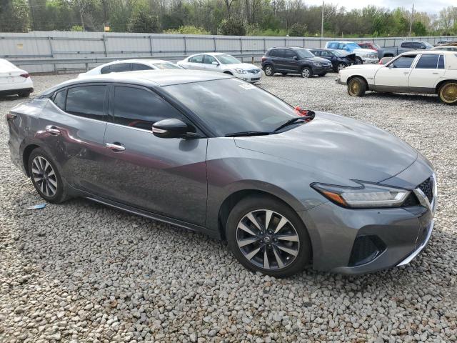  NISSAN MAXIMA 2020 Серый