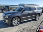 2015 Cadillac Escalade Luxury for Sale in Earlington, KY - Hail