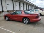 1998 Pontiac Firebird  for Sale in Louisville, KY - Front End