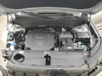 2025 Hyundai Palisade Sel de vânzare în Madisonville, TN - All Over