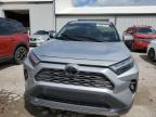 2024 Toyota Rav4 Limited იყიდება Lexington-ში, KY - Water/Flood