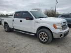 2013 Ford F150 Supercrew на продаже в Indianapolis, IN - Normal Wear