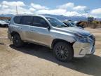 Colorado Springs, CO에서 판매 중인 2023 Lexus Gx 460 - All Over