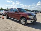 2010 Ford F150 Supercrew zu verkaufen in Houston, TX - Hail