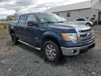 2013 Ford F150 Supercrew на продаже в Hillsborough, NJ - Side