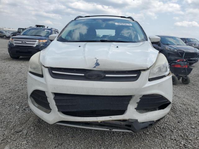  FORD ESCAPE 2013 Белы