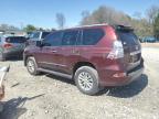 2015 Lexus Gx 460 for Sale in Madisonville, TN - Minor Dent/Scratches
