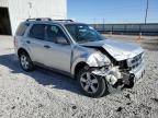 2012 Ford Escape Xlt იყიდება Reno-ში, NV - Front End