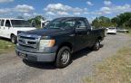 2013 Ford F150 for Sale in Apopka, FL - Rear End