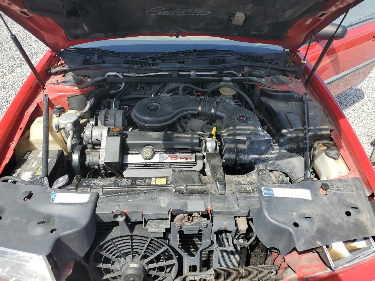 1992 Cadillac Eldorado VIN: 1G6EL13BXNU613746 Lot: 53699085
