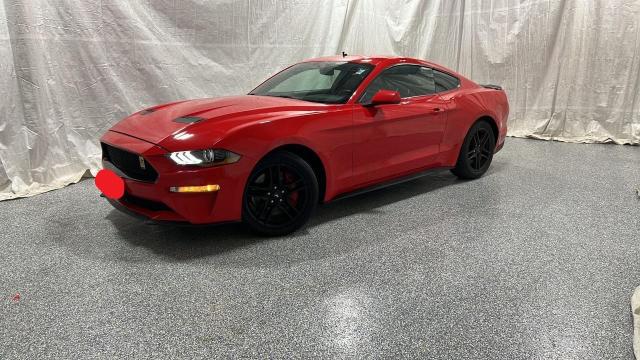  FORD MUSTANG 2019 Red