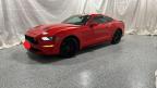 2019 Ford Mustang Gt for Sale in Elgin, IL - Damage History