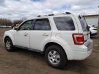 2011 Ford Escape Limited   na sprzedaż w New Britain, CT - Mechanical