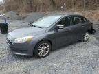 2016 Ford Focus Se for Sale in Marlboro, NY - Rear End