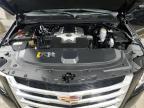 2020 Cadillac Escalade Esv Luxury იყიდება Ham Lake-ში, MN - Normal Wear