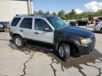2005 Ford Escape Xlt en Venta en Memphis, TN - Vandalism