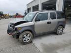 2004 Honda Element Ex for Sale in Greenwood, NE - Front End