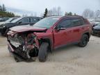 2020 TOYOTA RAV4 XLE à vendre chez Copart ON - TORONTO