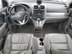 2010 Honda Cr-V Exl   zu verkaufen in Earlington, KY - Hail
