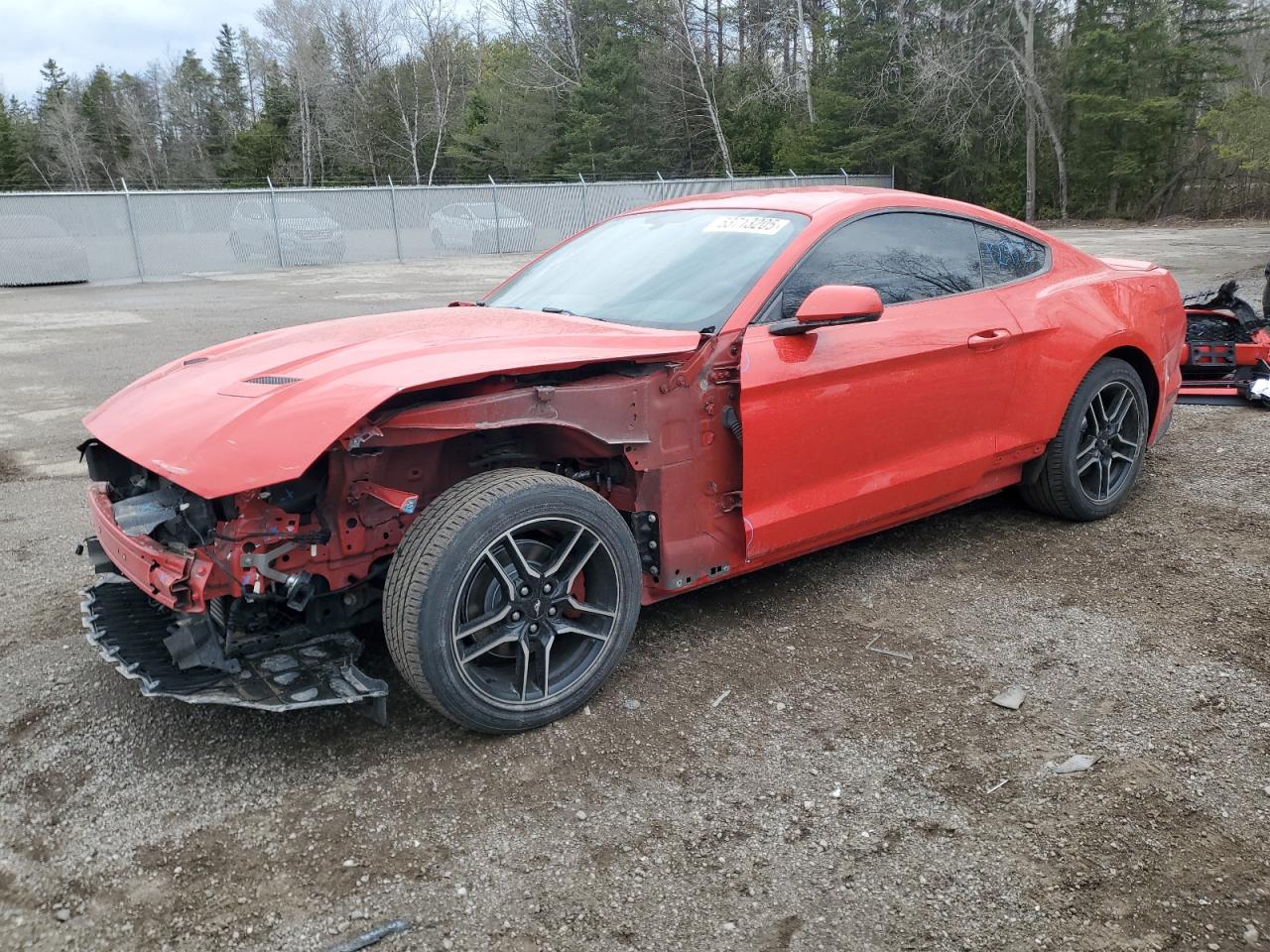 2019 Ford Mustang for Sale in Cookstown, ON - Front End