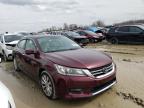 2014 Honda Accord Exl na sprzedaż w Cicero, IN - Rear End