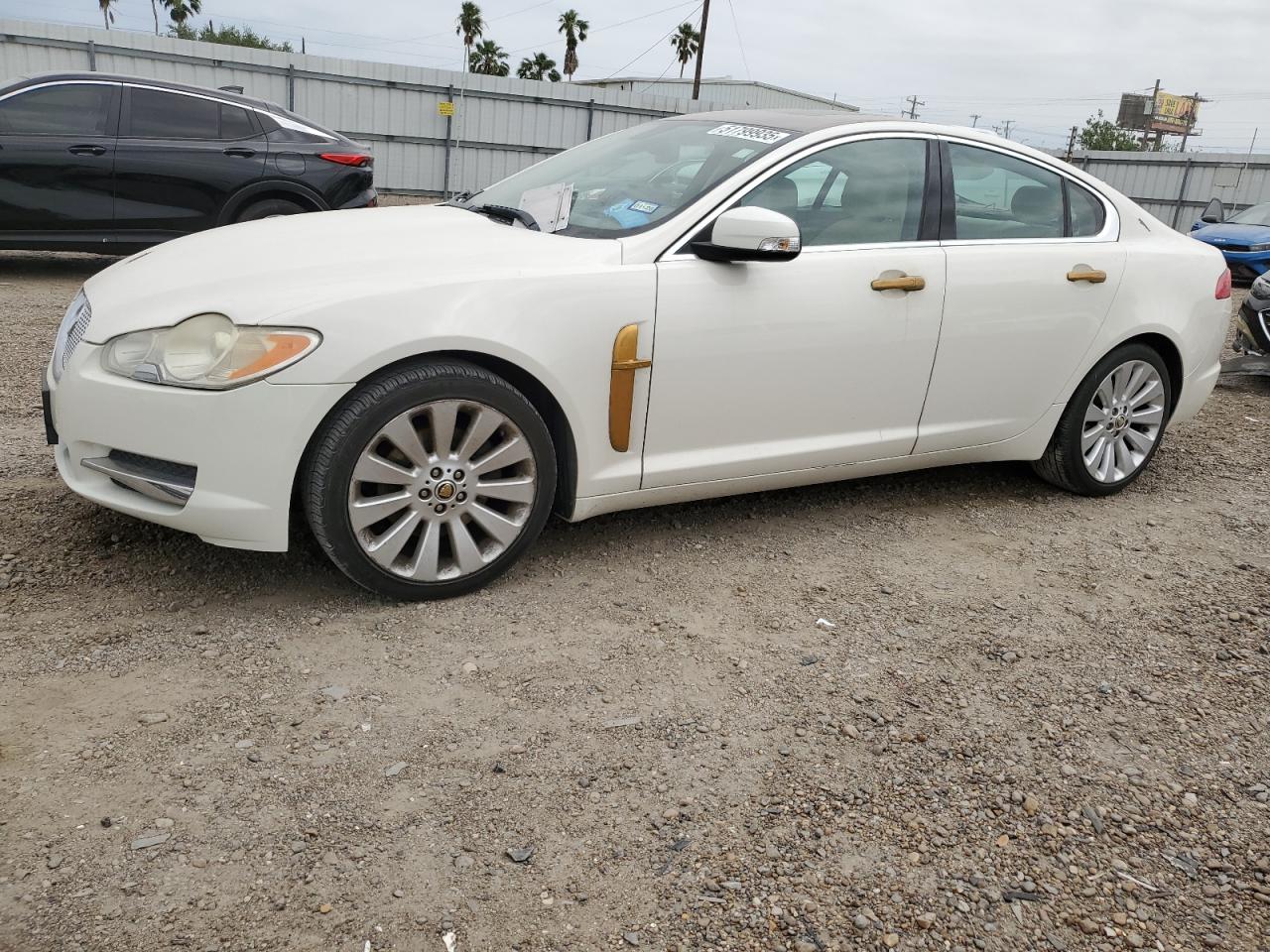 2009 Jaguar Xf Premium Luxury на продаже в Mercedes, TX - Water/Flood