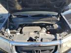 2011 Honda Pilot Exl for Sale in Tifton, GA - Hail